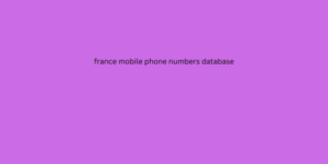 france mobile phone numbers database