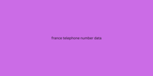 france telephone number data