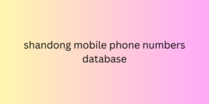 shandong mobile phone numbers database