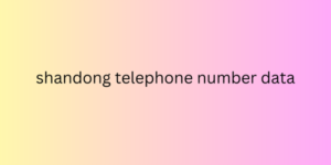 shandong telephone number data